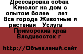 Дрессировка собак (Кинолог на дом с опытом более 10 лет) - Все города Животные и растения » Услуги   . Приморский край,Владивосток г.